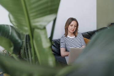 Woman with laptop sitting on sofa - OGF01127