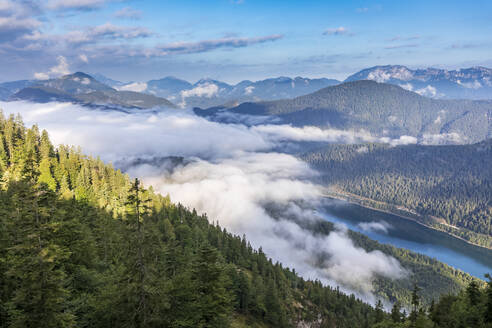 Blick auf den Sylvenstein-Stausee im dichten Nebel - FOF13051