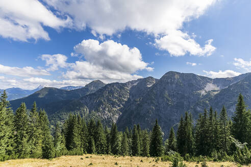 Sommerwolken über einem bewaldeten Tal im Karwendelgebirge - FOF13070