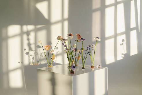 Bunte Blumen auf weißem Tisch - SEAF00728