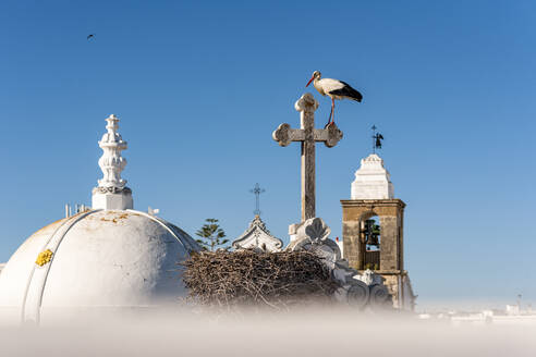 Portugal, Algarve, Olhao, Weißstorch auf dem Dachkreuz der Kirche Igreja de Nossa Senhora do Rosario - EGBF00825