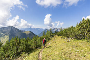 Hiker with backpack hiking on sunny day - FOF13088