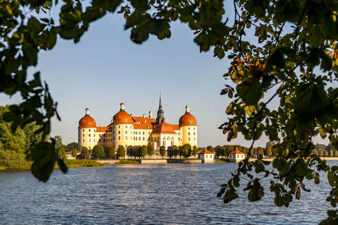 Deutschland, Sachsen, Moritzburg, Blick auf den See mit Schloss Moritzburg im Hintergrund - EGBF00858