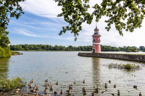 Deutschland, Sachsen, Moritzburg, Entenschwarm schwimmt am Seeufer mit Leuchtturm im Hintergrund - EGBF00859