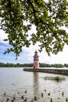 Deutschland, Sachsen, Moritzburg, Entenschwarm schwimmt am Seeufer mit Leuchtturm im Hintergrund - EGBF00860