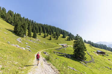 Deutschland, Bayern, Wanderin auf dem Weg zum Fockenstein - FOF13103