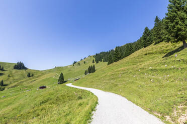 Deutschland, Bayern, Fußweg entlang grüner Wiesen in den Bayerischen Voralpen - FOF13106