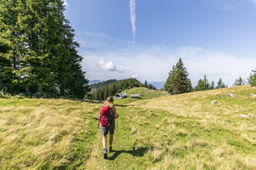 Frau mit Rucksack und Wanderstock auf einer Wiese - FOF13117