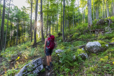 Hiker with backpack standing in forest - FOF13118