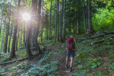 Frau mit Rucksack beim Wandern im Wald - FOF13119