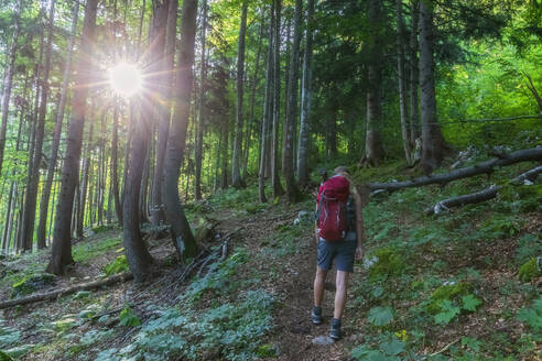 Frau mit Rucksack beim Wandern im Wald - FOF13119