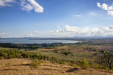 Trasimeno Lake and landscape on sunny day, Castiglione del Lago, Umbria, Italy - MAMF02103