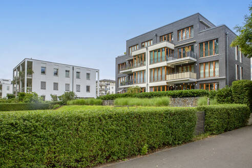 Deutschland, Berlin, Hecke vor modernem Mehrfamilienhaus im Neubaugebiet - MAMF02165