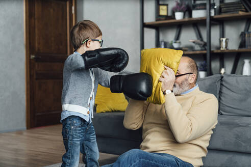 Verspielter Junge mit Boxhandschuhen, der mit seinem Großvater spielt und sein Gesicht mit einem Kissen im Wohnzimmer bedeckt - VPIF05643