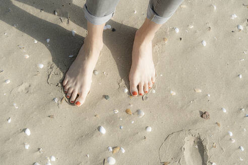 Woman standing barefeet on sand with seashells at beach - CHPF00845