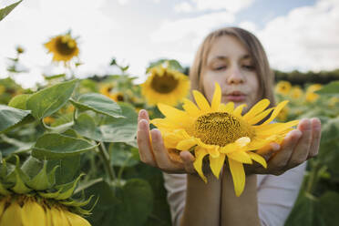 Frau hält gelbe Sonnenblume im Feld stehend - LLUF00491