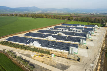 Luftaufnahme von mit Solarzellen bedeckten Viehzuchtbetrieben, Galiläa Panhandle, Israel. - AAEF14515