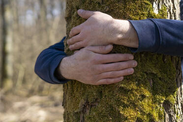 Hände eines jungen Mannes, der einen Baum umarmt, an einem sonnigen Tag - SSGF00720