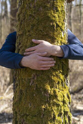 Young man hugging tree on sunny day - SSGF00721