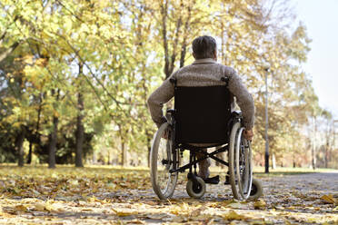 Behinderter älterer Mann im Rollstuhl sitzend im Herbstpark - ABIF01646