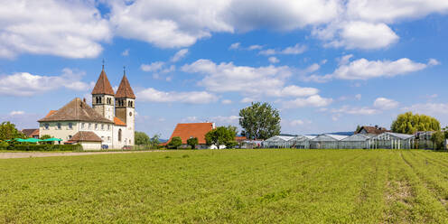 Deutschland, Baden-Württemberg, Insel Reichenau, Landwirtschaftliches Feld im Sommer mit Basilika St. Peter und Paul im Hintergrund - WDF06890