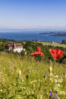 Deutschland, Baden-Württemberg, Uberlingen, Salem International College und Bodensee von der Hodinger Höhe aus gesehen im Sommer - WDF06894