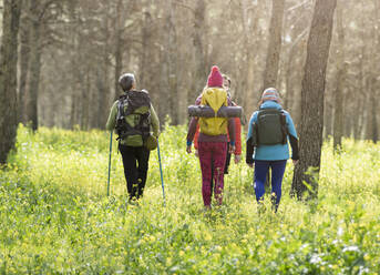 Ältere Männer und Frauen mit Rucksäcken wandern im Wald - JCCMF06071
