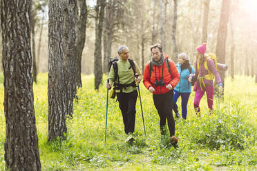 Reife Männer reden miteinander vor Frauen, die im Wald spazieren gehen - JCCMF06073