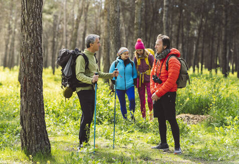 Männer reden miteinander, während sie vor Frauen stehen, die im Wald spazieren gehen - JCCMF06074