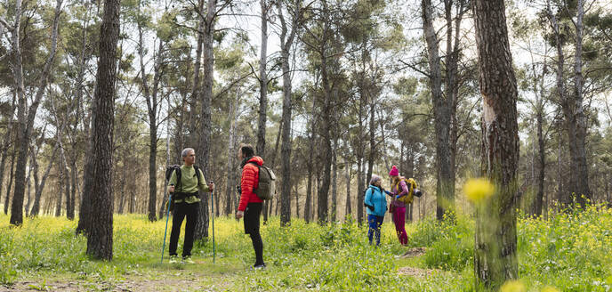 Männer und Frauen sprechen im Wald miteinander - JCCMF06098