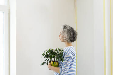 Frau mit Topfpflanze vor einer weißen Wand in ihrem neuen Haus - SEAF00760