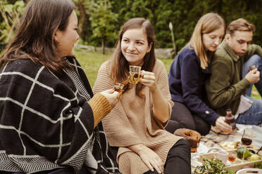 Lächelnde Freunde bei einem Picknick im Garten - ISF25670