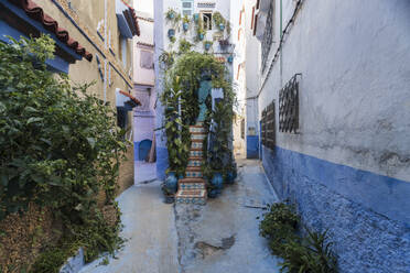 Marokko, Chefchaouen, Enge Gasse und traditionelle blaue Häuser mit Pflanzen - ISF25726