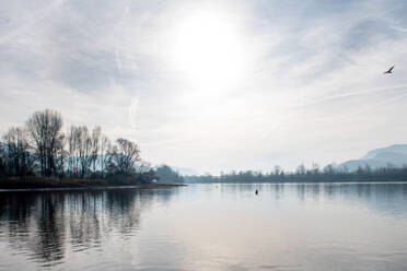 Italy, Sun and bare trees reflected in calm lake - ISF25744