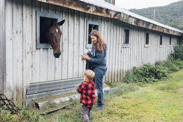 Frau mit Enkel, der Gras hält und ein Pferd im Stall betrachtet - ACTF00204