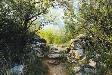 Empty walkway through rocks in nature - GIOF15493