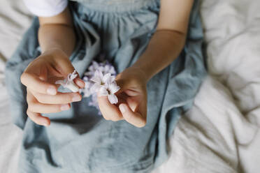 Hände eines Mädchens halten violette Blumen zu Hause - TYF00133