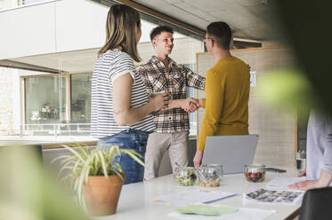 Two businessmen shaking hands in office - UUF25728