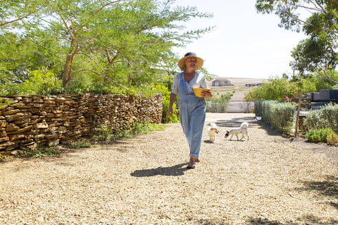 Frau mit Hunden, die auf einem Weg im Garten spazieren gehen - ESTF00010