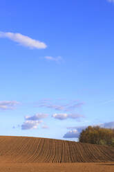 Blauer Himmel über gepflügtem Feld - JTF02031