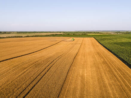 Luftaufnahme eines landwirtschaftlichen Feldes an einem sonnigen Tag - NOF00470