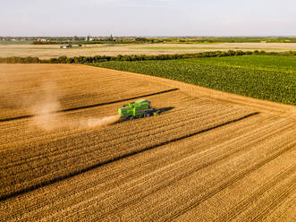 Traktor bei der Ernte auf einem landwirtschaftlichen Feld an einem sonnigen Tag - NOF00471