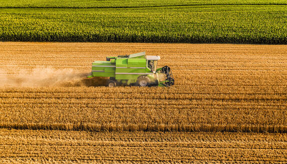 Grüner Traktor bei der Ernte eines Weizenfeldes - NOF00472