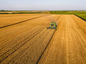 Combine harvester at farm harvesting wheat crop field - NOF00473