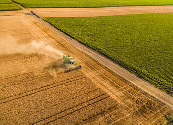 Luftaufnahme eines Mähdreschers bei der Ernte eines Weizenfeldes - NOF00475