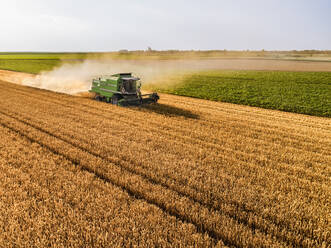 Tractor harvesting wheat crop field on sunny day - NOF00477