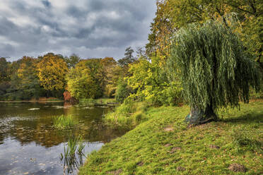 Polen, Woiwodschaft Masowien, Warschau, Seeufer im Skaryszew-Park im Herbst - ABOF00775