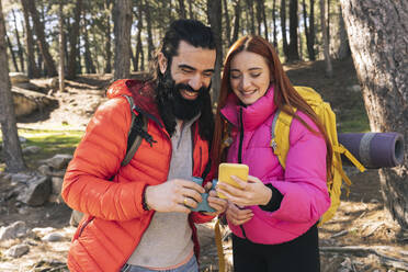 Glückliches Paar teilt sich ein Smartphone im Wald - JCCMF06161