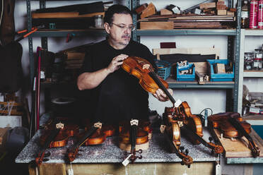 Luthier examining the sound of a varnished violin - CAVF96202