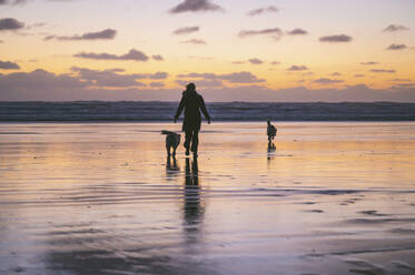 Frauen spielen mit ihren Hunden an der Washingtoner Küste bei Sonnenuntergang - CAVF96206